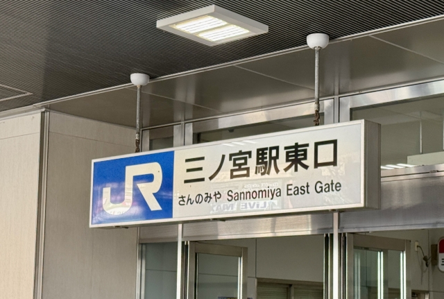 象徴的エリアでの調査