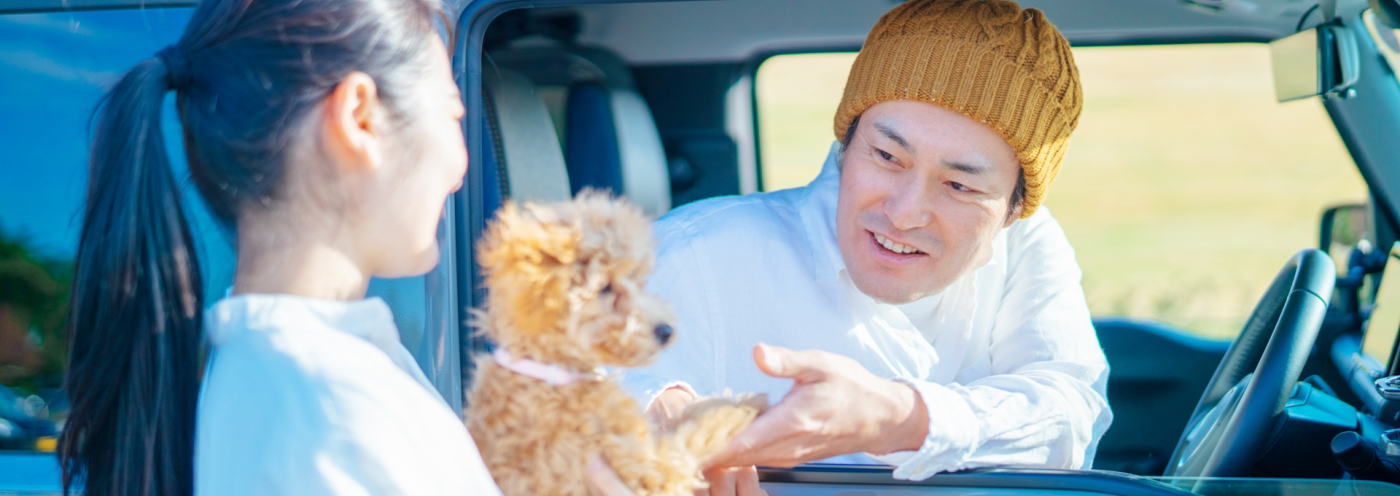 ペット探偵 ワンちゃん 猫ちゃん ペット探しなら大阪の探偵